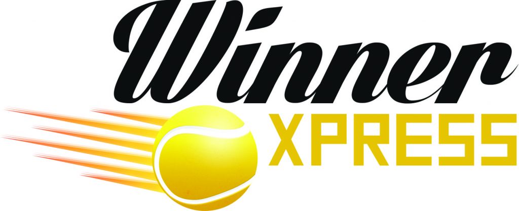 Curso para iniciantes Winner Xpress