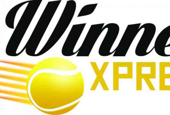 Curso para iniciantes Winner Xpress